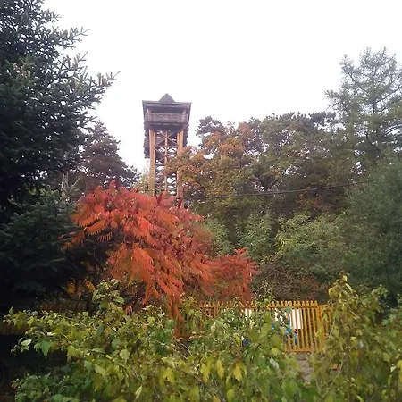 Rita Vendegszobak Ödenburg